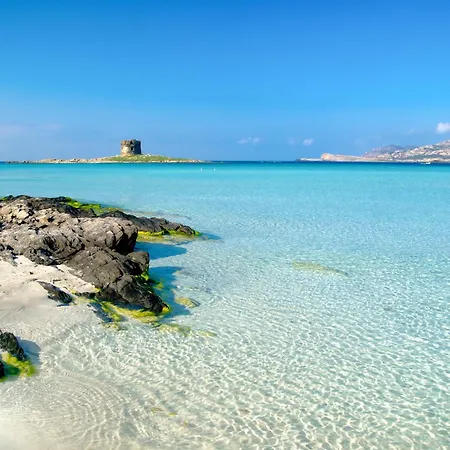 Villa Sea 1km From The - Happy *